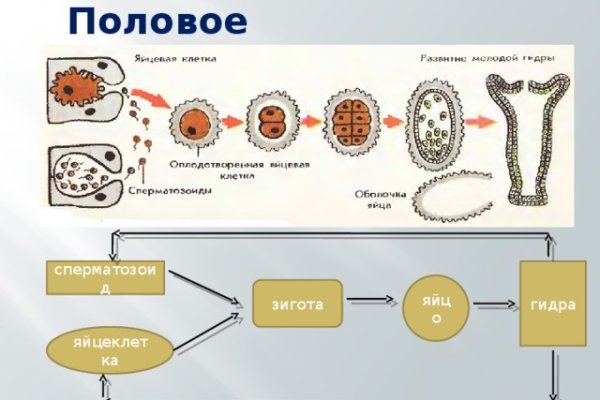 Кракен 15at