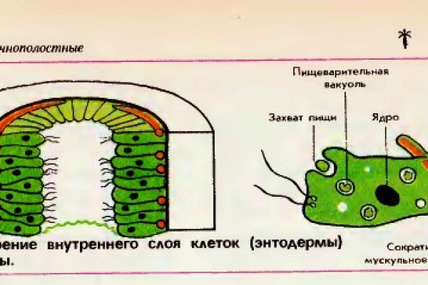 Кракен что продается