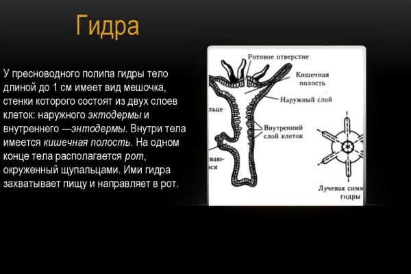 Кракен рабочая ссылка